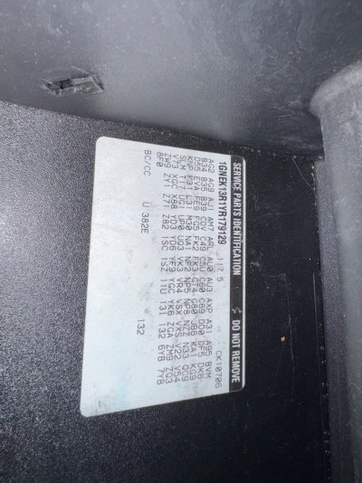 PIC2.jpg
