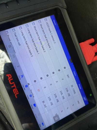 5.jpeg