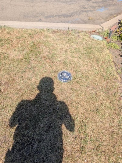 7554.jpg