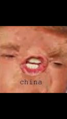 IMG_0419.PNG