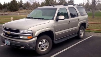 03 stock LT.jpg 03 stock LT.jpg