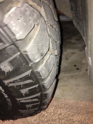 IMG_1330.JPG IMG_1330.JPG