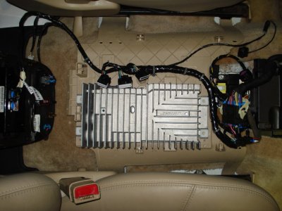 LUX Amp & Harness.JPG