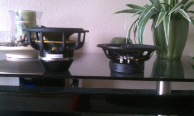 IMAG0040.jpg