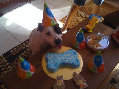 Zeuss5thBirthday.jpg