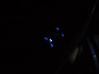 Picture 026.jpg