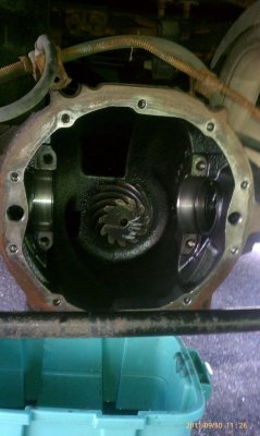 IMAG0099.jpg