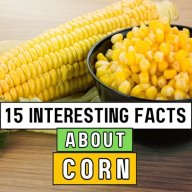 yukon-coRn