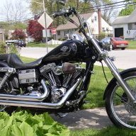 Raven242