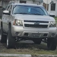 Tonya the Tahoe