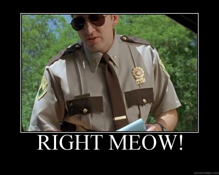 supermeowtrooper.jpg