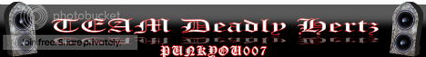 TeamDeadlyHertz-PUNKYOU007.png