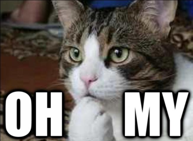 Dafaq+did+you+just+roll+_f53eb4b562aadf42617f905207307f20.jpg