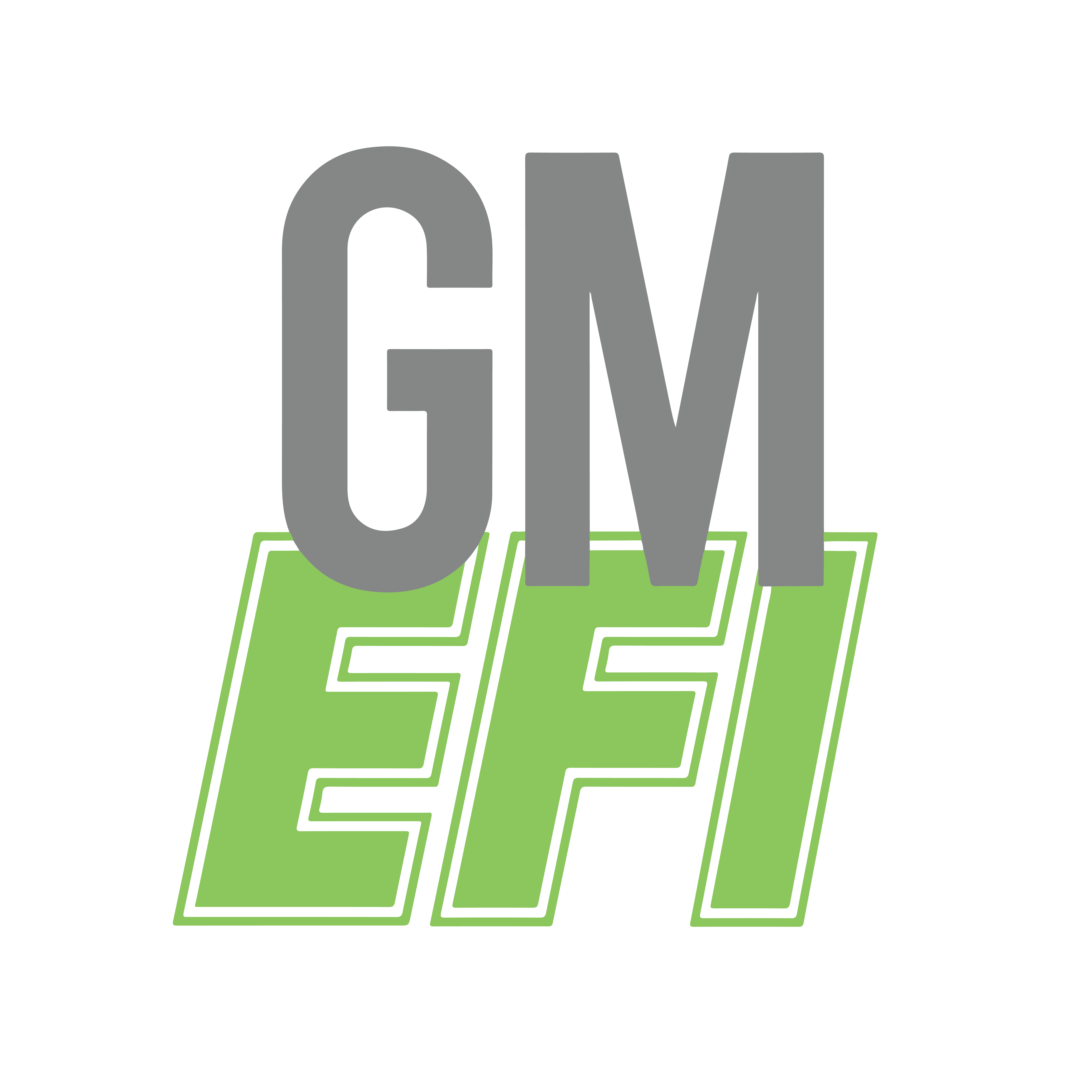 gm-efi.com